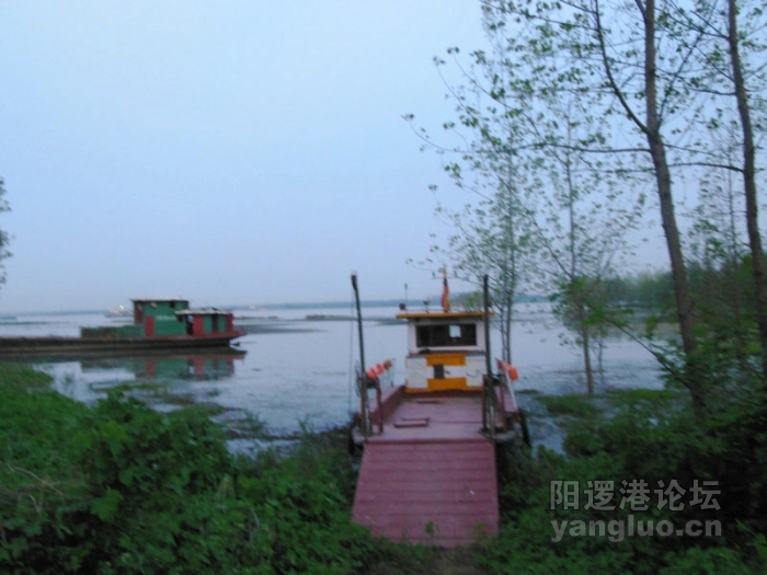 DSCN2947.jpg
