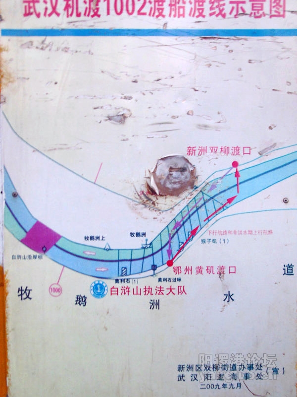 DSCN2950.jpg