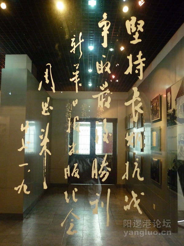P1030268.JPG
