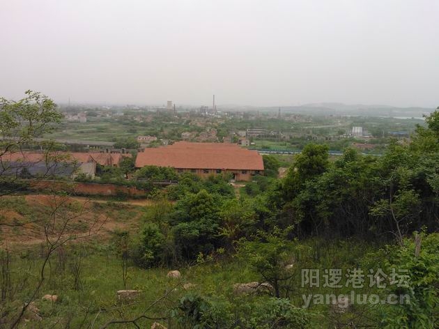 调整大小 WP_000644.jpg