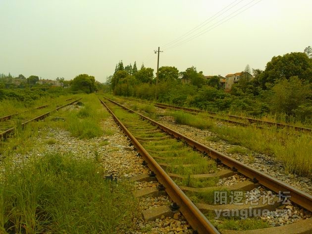 调整大小 WP_000660.jpg