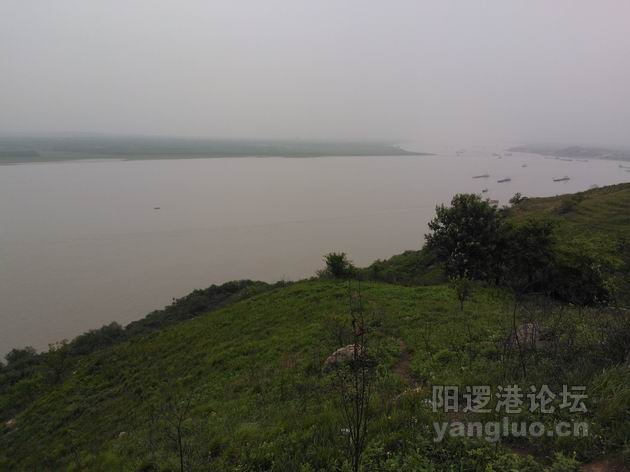 调整大小 WP_000598.jpg