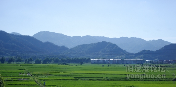 IMGP0143.jpg