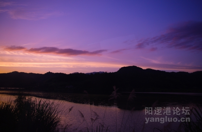 IMGP0222.jpg