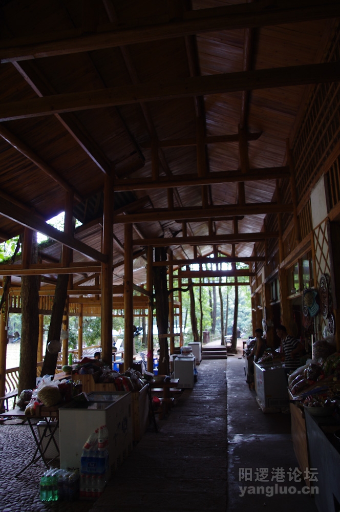 IMGP0275.jpg