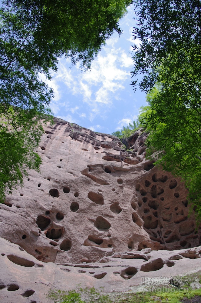 IMGP0095.jpg