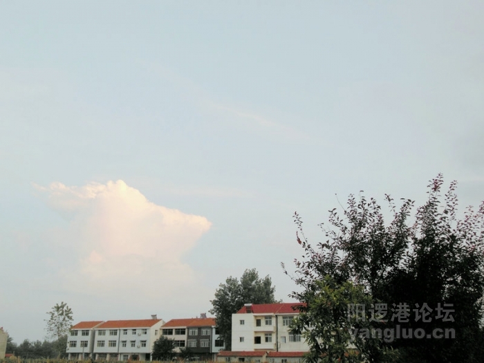 DSCN3115.jpg