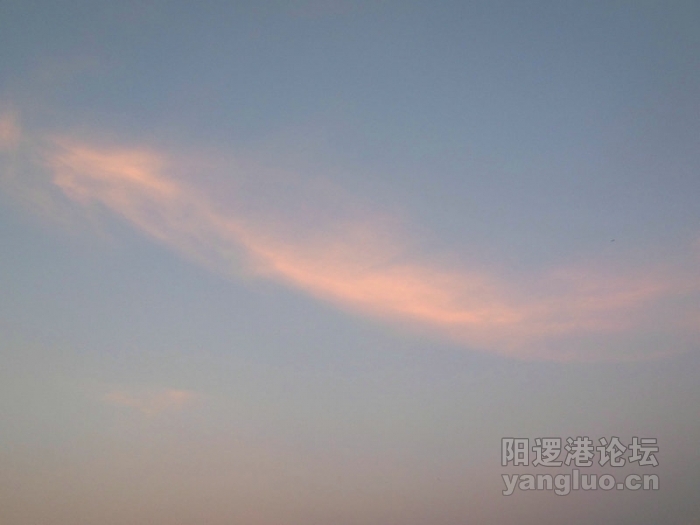 DSCN3119.jpg