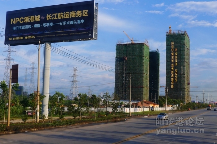 P1060822.jpg