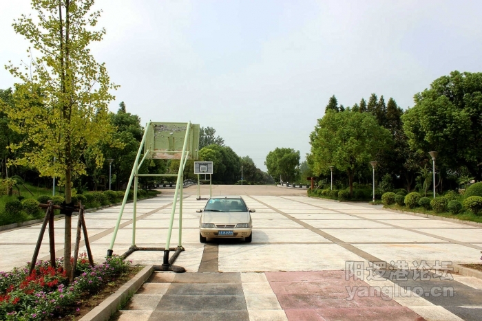 04.JPG