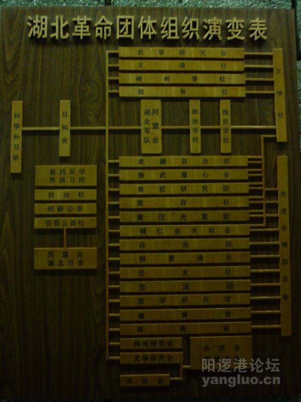 P1030194.JPG
