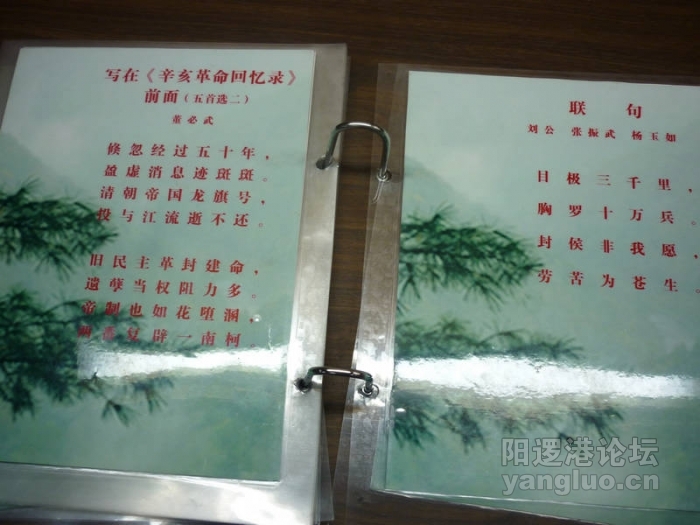 P1030204.JPG