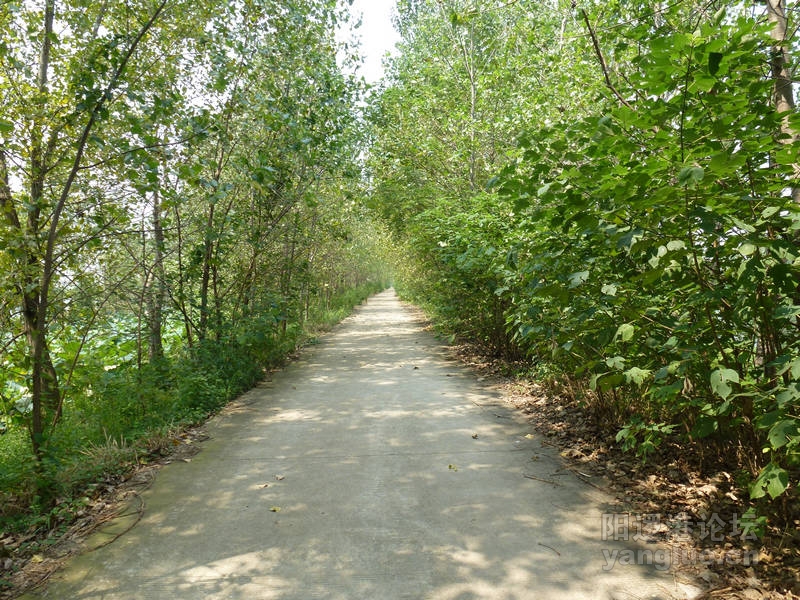 P1010516.JPG