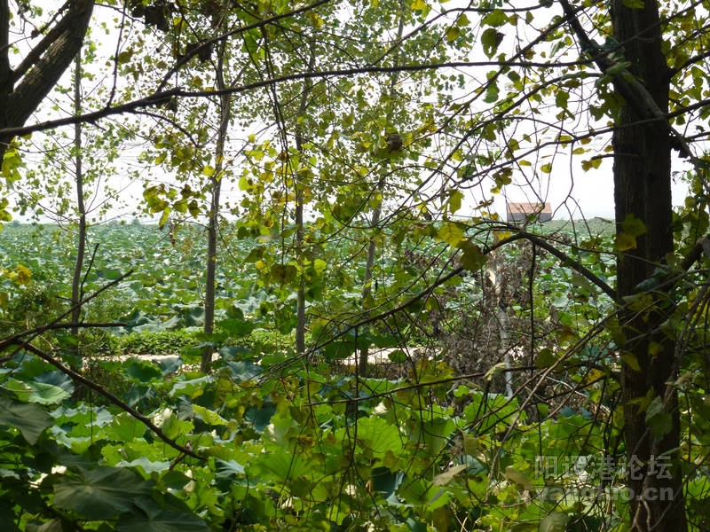 P1010517.JPG