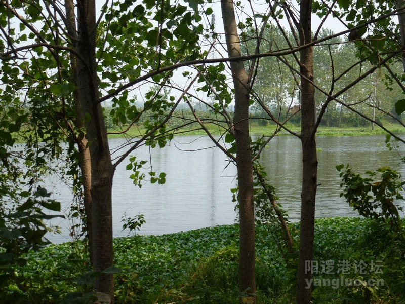 P1010521.JPG