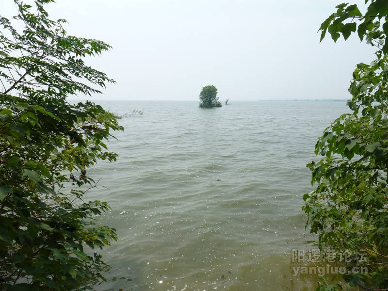 P1010535.JPG