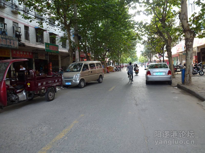 P1010569.JPG