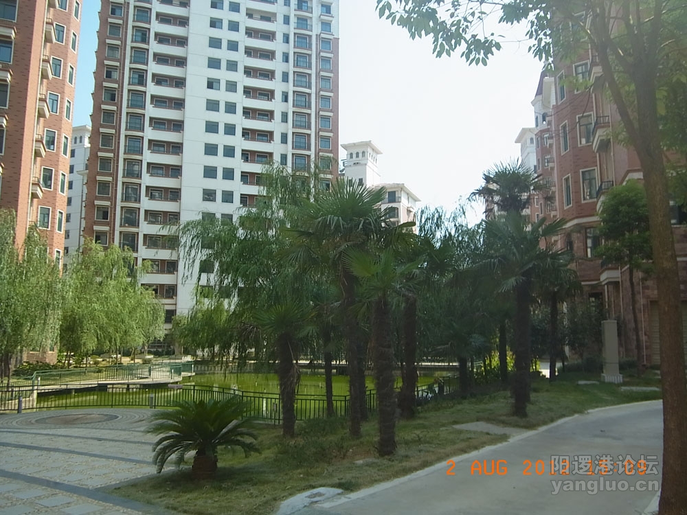 RIMG0263.JPG