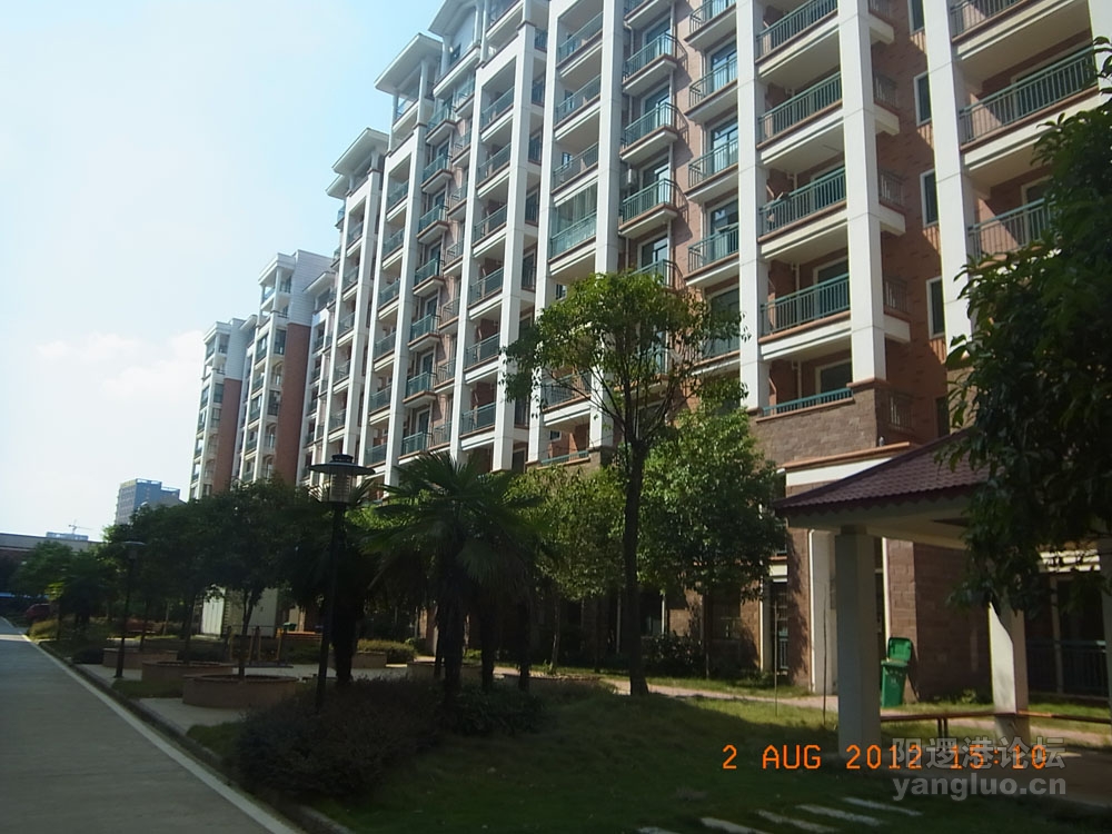 RIMG0264.JPG