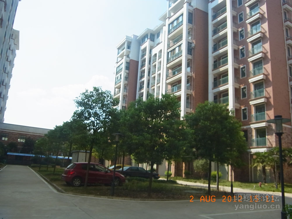 RIMG0265.JPG