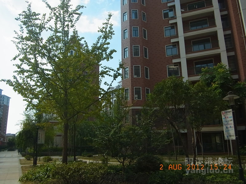 RIMG0272.JPG