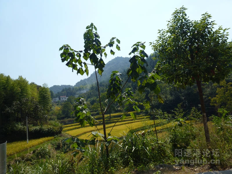 P1010837.JPG