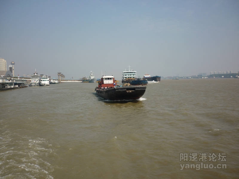 P1030405.JPG