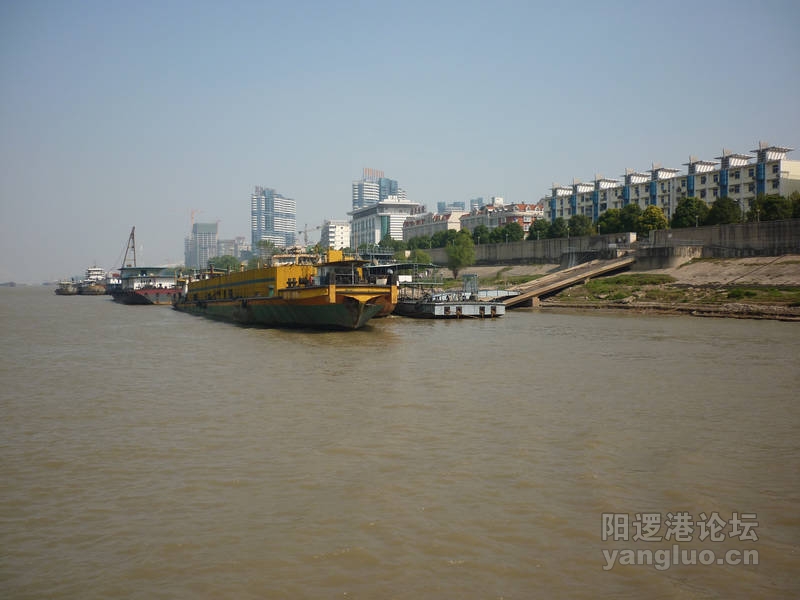 P1030427.JPG