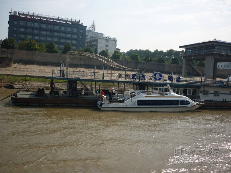P1030428.JPG