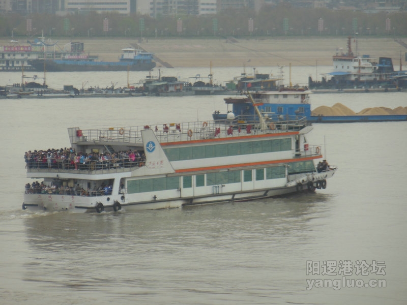 DSCN0726.jpg