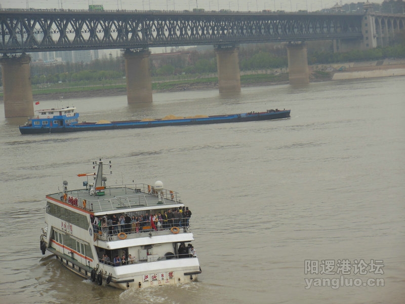 DSCN0737.jpg