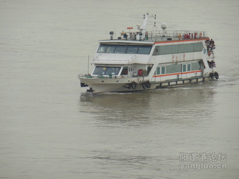 DSCN0742.jpg