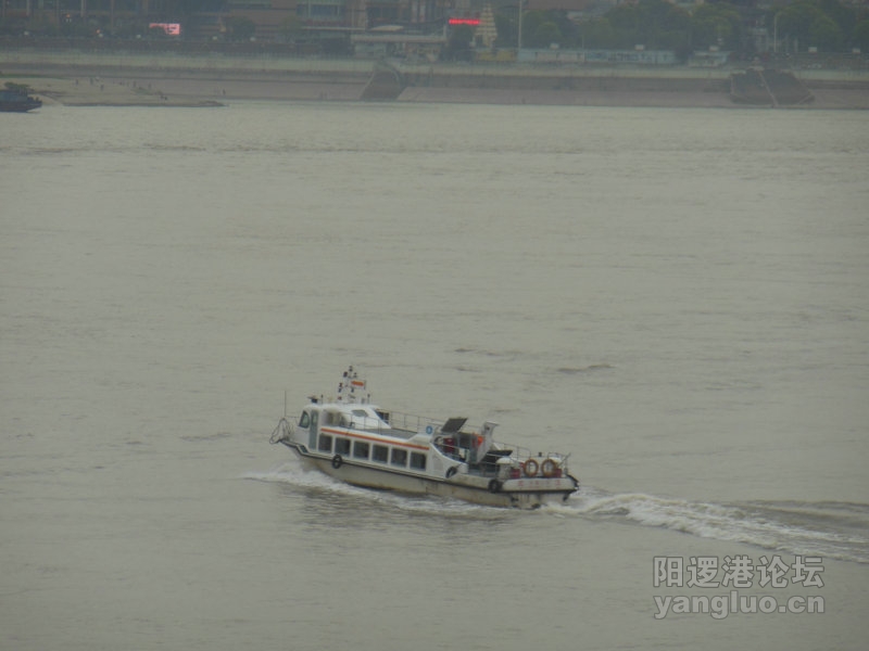 DSCN0743.jpg