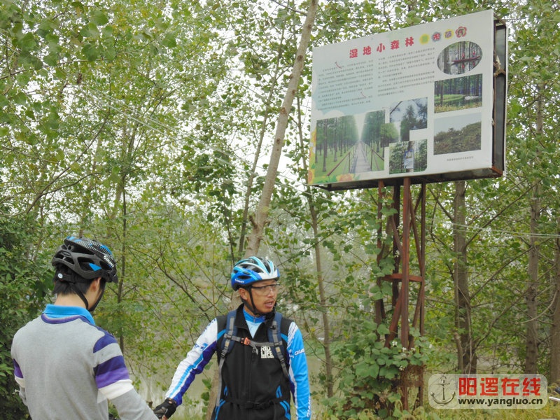 DSCN4026.jpg