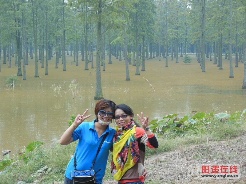 DSCN4051.jpg