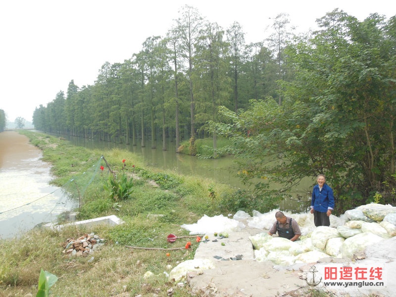 DSCN4054.jpg
