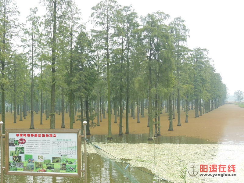 DSCN4052.jpg