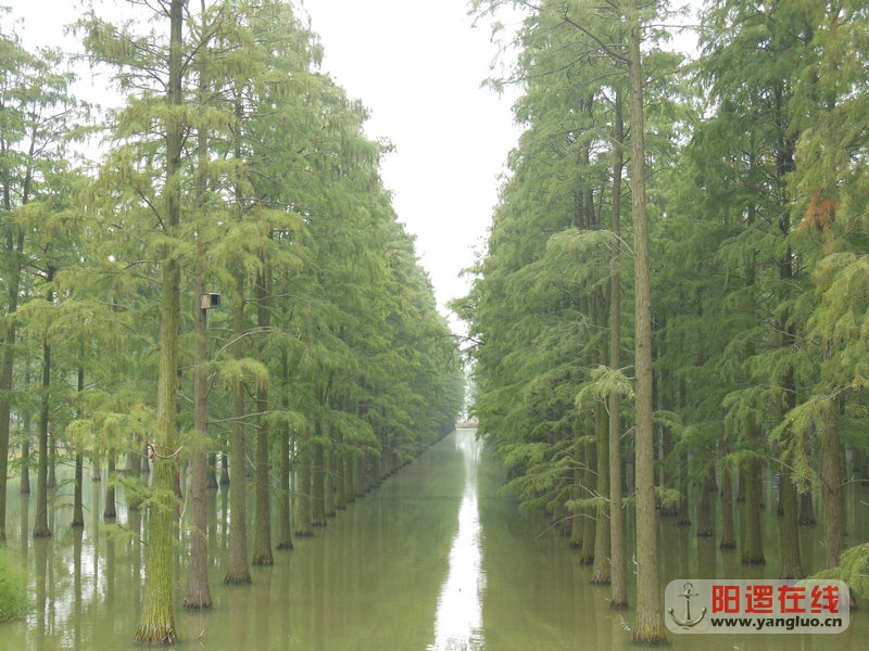 DSCN4056.jpg