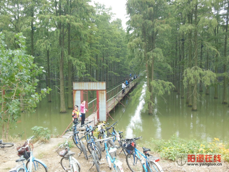 DSCN4057.jpg