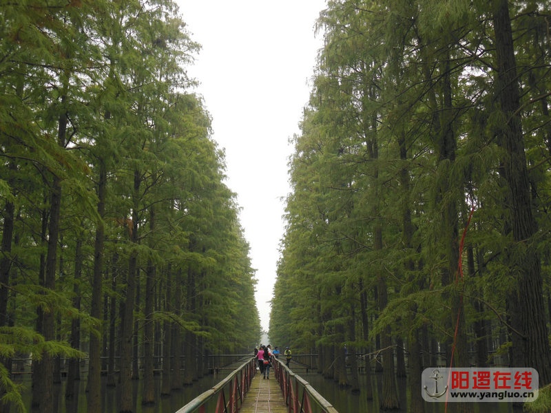 DSCN4058.jpg