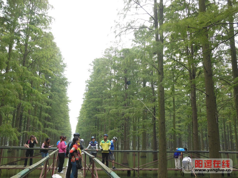 DSCN4059.jpg