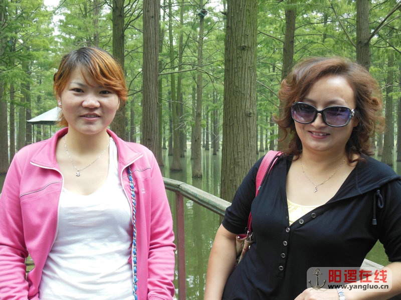 DSCN4061.jpg