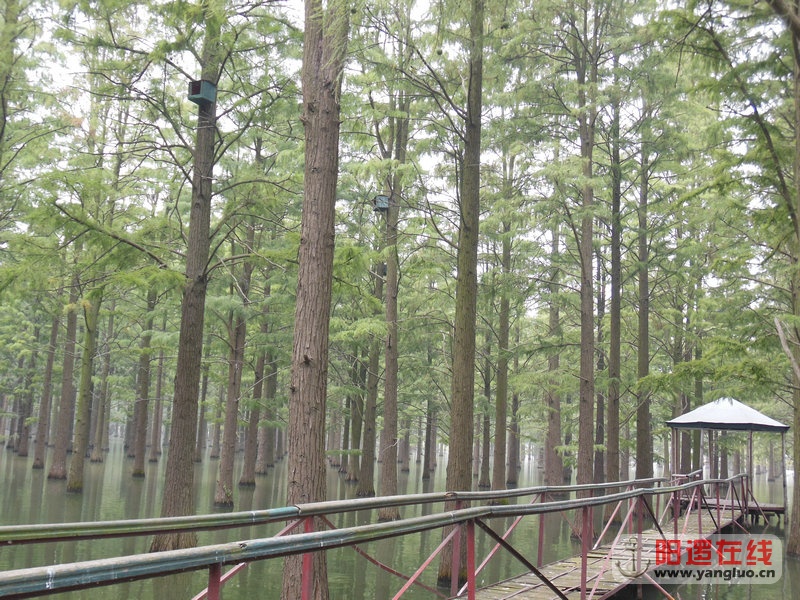 DSCN4067.jpg