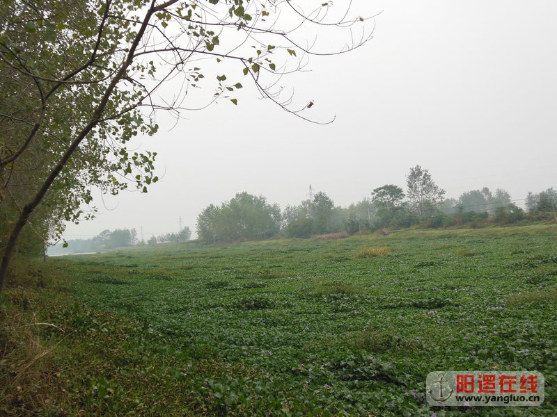 DSCN4090.jpg