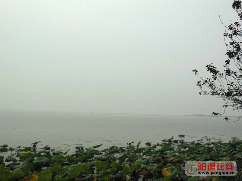DSCN4092.jpg