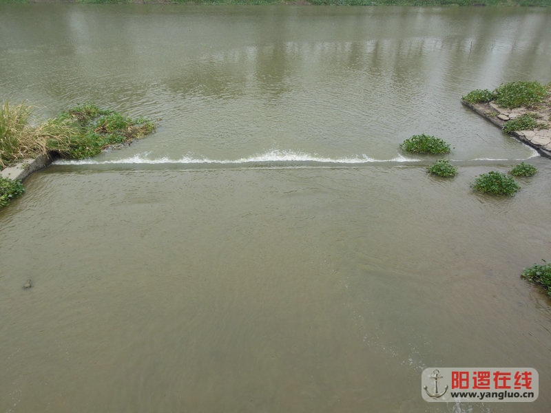 DSCN4093.jpg