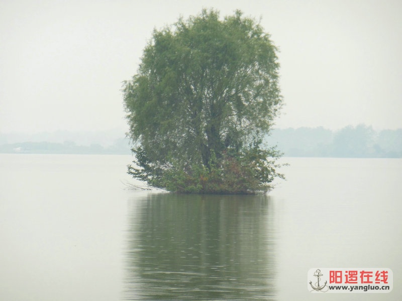DSCN4100.jpg
