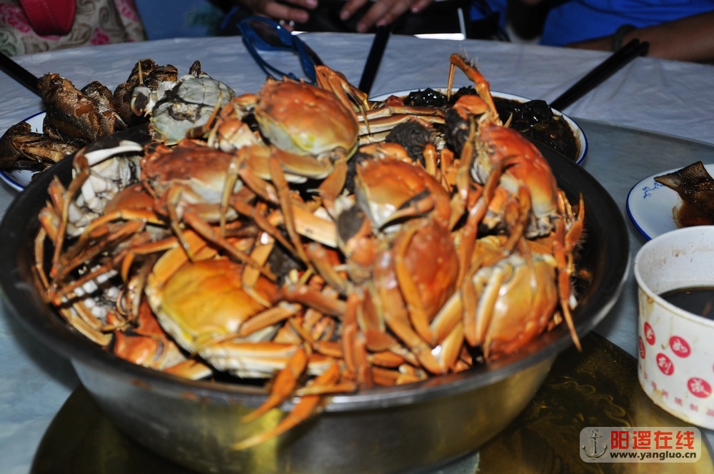 DSC_0124.JPG