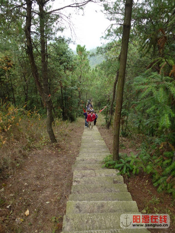 P1020120.JPG