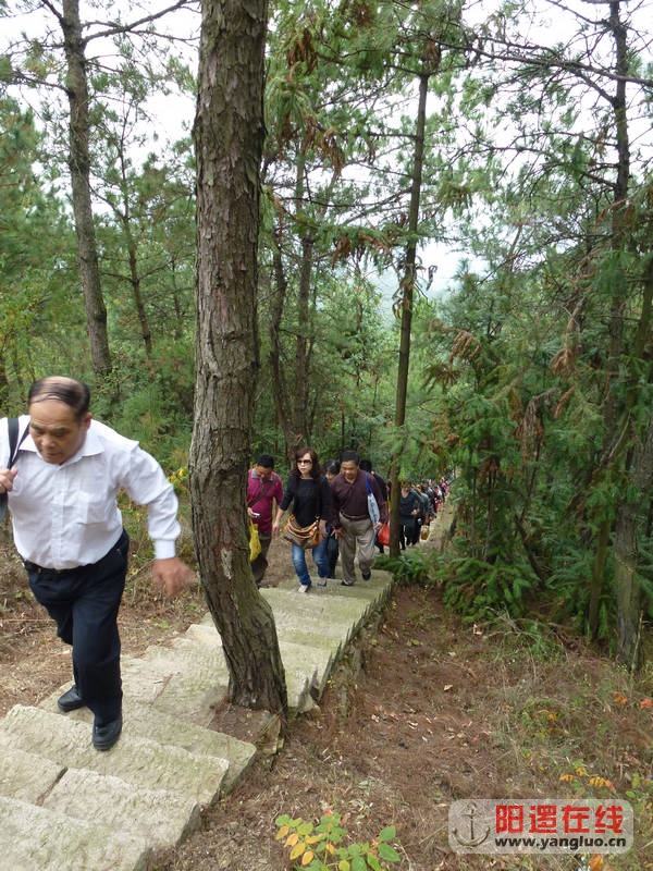 P1020124.JPG